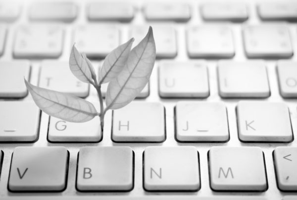 responsabilité numérique des entreprises